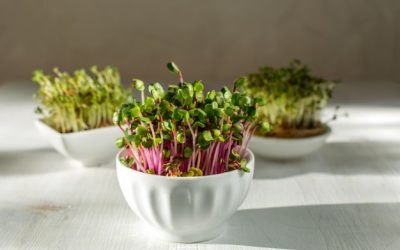 pink-radish-sprouts-white-wooden-background-trendy-hard-light_82780-167